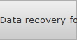 Data recovery for Bartlesville data